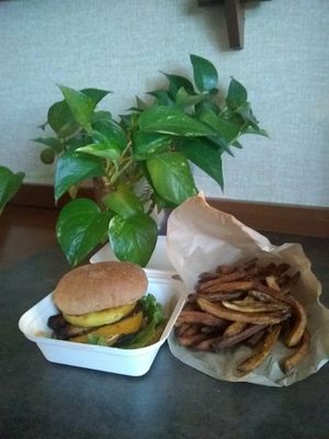 Hawaiian Burger and fries at E Burger in Columbus