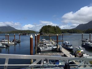 The view  at Shelter Restaurant in Tofino