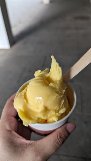 Mandarine at Eiscafe Venezia in Dresden