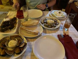 Fried eggplant, fried zucchini, vegan tzatziki, stuffed wine leaves, garlic bread  at Sagittarius Restaurant in Kos