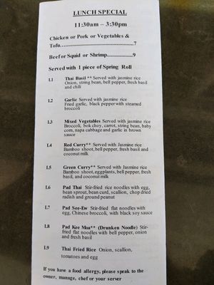 Lunch Special at Thai Hut - Food Stand in Yonkers