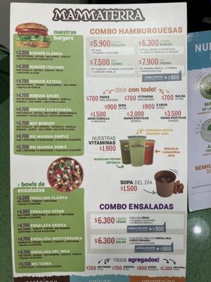 Menu December 2021  at Mammaterra in Puerto Varas