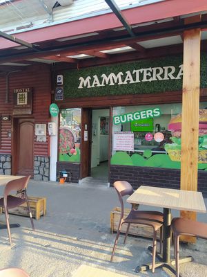  at Mammaterra in Puerto Varas