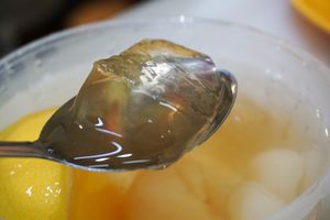 Aiyu Jelly at Evergreen Vegetarian House 长青素食之家 in Penang
