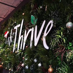 Cool wall at Cafe Thrive in Southampton