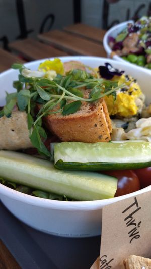 Bowl of the day at Cafe Thrive in Southampton