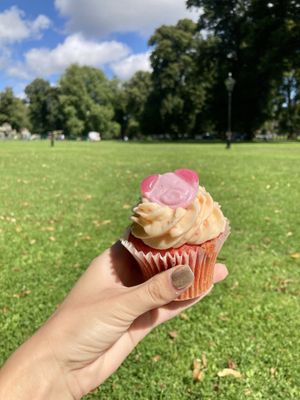   at Cafe Thrive in Southampton