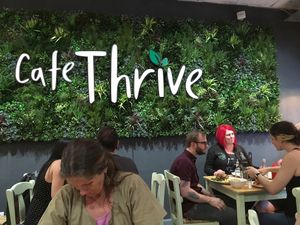 A plant based wall! at Cafe Thrive in Southampton