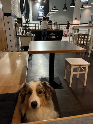   at Swing Kitchen - Kaiserfeldgasse in Graz