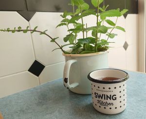   at Swing Kitchen - Kaiserfeldgasse in Graz