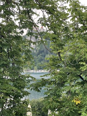   at Pizzeria Gallus in Bled