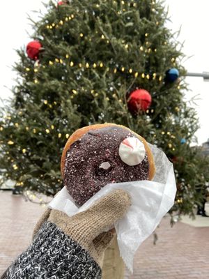 Mocha peppermint donut  at Union Square Donuts in Boston