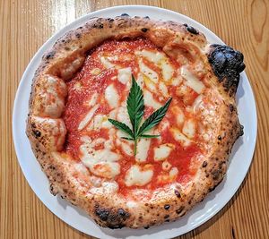 pizza at Lucia's in Berkeley