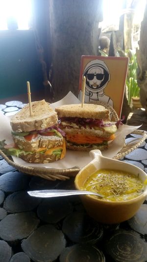 Veggy sandwiches whit homemade cheese  at Kaya Caffe in Koh Lanta