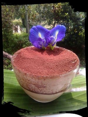 Vegan Tiramisù at Kaya Caffe in Koh Lanta