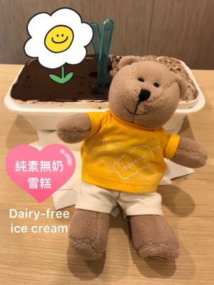 Dairy-free ice cream  at Tom's Palette - Bugis in Central Singapore