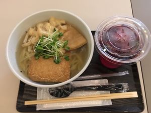 Yum at Vege Deli Kanna - Shokudo in Kyoto