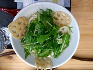 Udon at Vege Deli Kanna - Shokudo in Kyoto