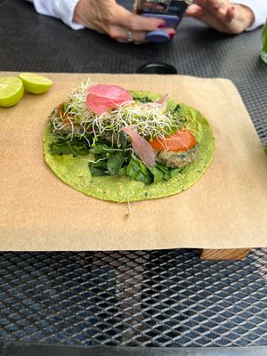   at Tacogreen in Queretaro