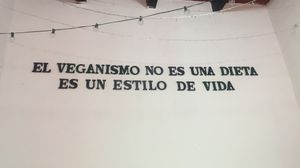 Decor at Tacogreen in Queretaro