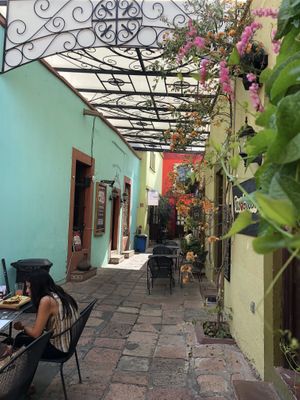 Muy agradable at Tacogreen in Queretaro