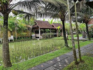 Ambience at Warung Mogan in Dalung
