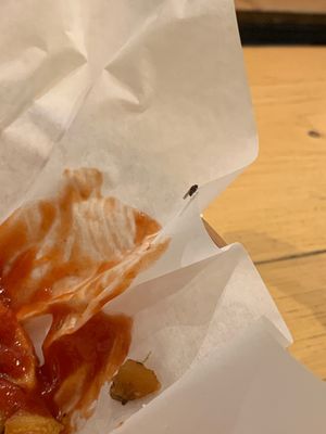 Shall I mention the MANY fruit flies?  at Holy Moly in Lille