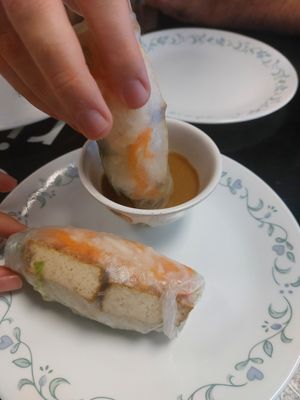 Spring rolls with tofu at Sticky Rice Cafe in Knoxville