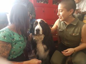 Nuestros amigos perrunos son bienvenidos! at La Cerveseria Clandestina in Barcelona