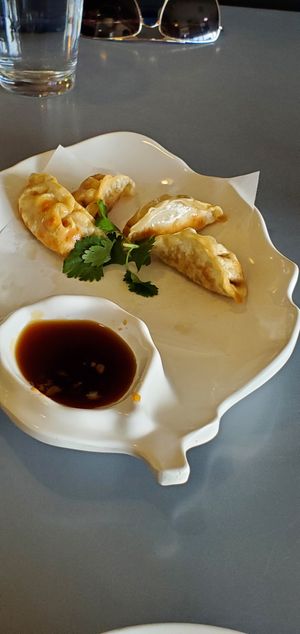Veggie potstickers (2 already eaten) at Five Star Thai Cuisine in Crown Point