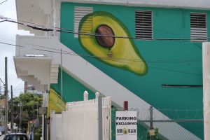 Avocado painting on side of Bori Vegan building at Bori Vegan in Guaynabo