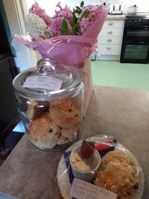 Homemade vegan scones with vegan butter x at Valley Gardens Tea Rooms in Saltburn-by-the-sea