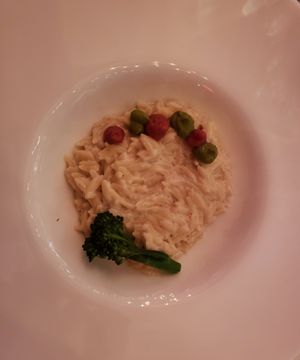 Orzo at P.S. Kitchen in New York City