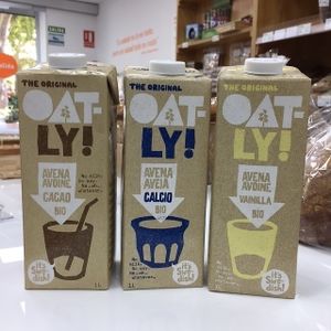 Plant based mylk at Ecorganic in Valencia