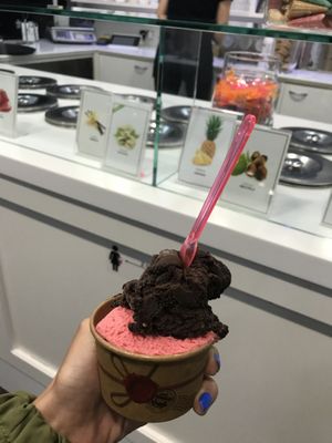 Vegan dark chocolate ice cream & raspberry sorbet   at Gelateria Eva in Zadar