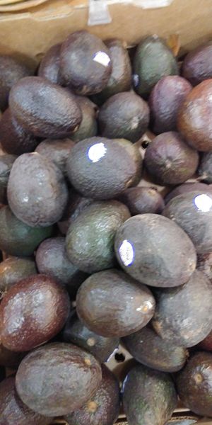  at Alberta Co-op Grocery in Portland