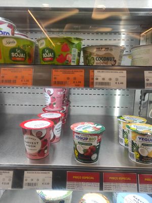 Yoghurt at Celeiro - Vasco da Gama in Lisbon