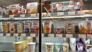vegan yoghurts at Celeiro - Vasco da Gama in Lisbon