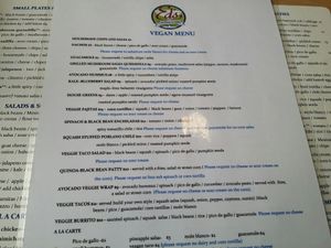 Vegan menu at Ed's Cantina & Grill in Estes Park