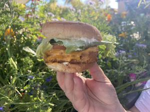 Vegan fish fillet sandwich   at Plant Power Fast Food - Encinitas in Encinitas