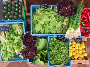 Organic and local veggies! at Mimint Bio Market in Arnhem