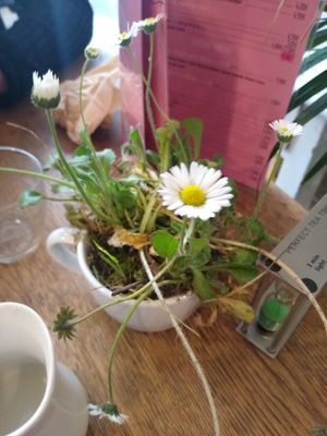  at L'instant in Tours