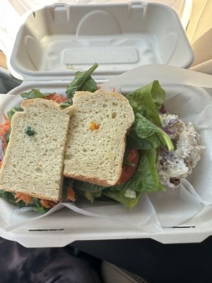 Vegan wrap on GF millet bread  at Organic Bliss in Toledo