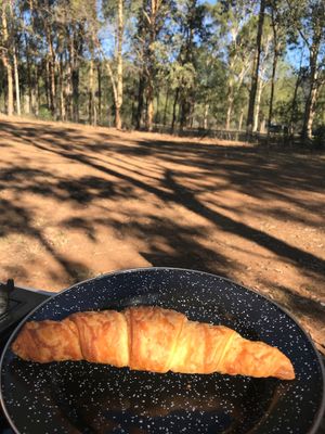 Croissant back at camp  at Gathered Kitchen in Glebe