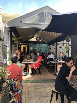 Outdoor garden  at Gathered Kitchen in Glebe