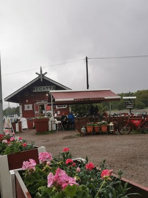  at Regatta in Helsinki