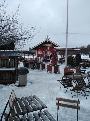  at Regatta in Helsinki