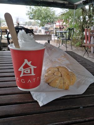  at Regatta in Helsinki