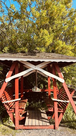   at Regatta in Helsinki