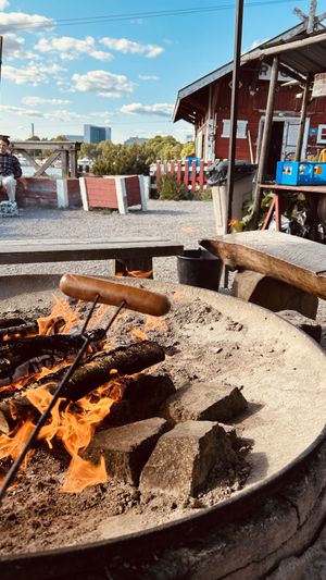   at Regatta in Helsinki